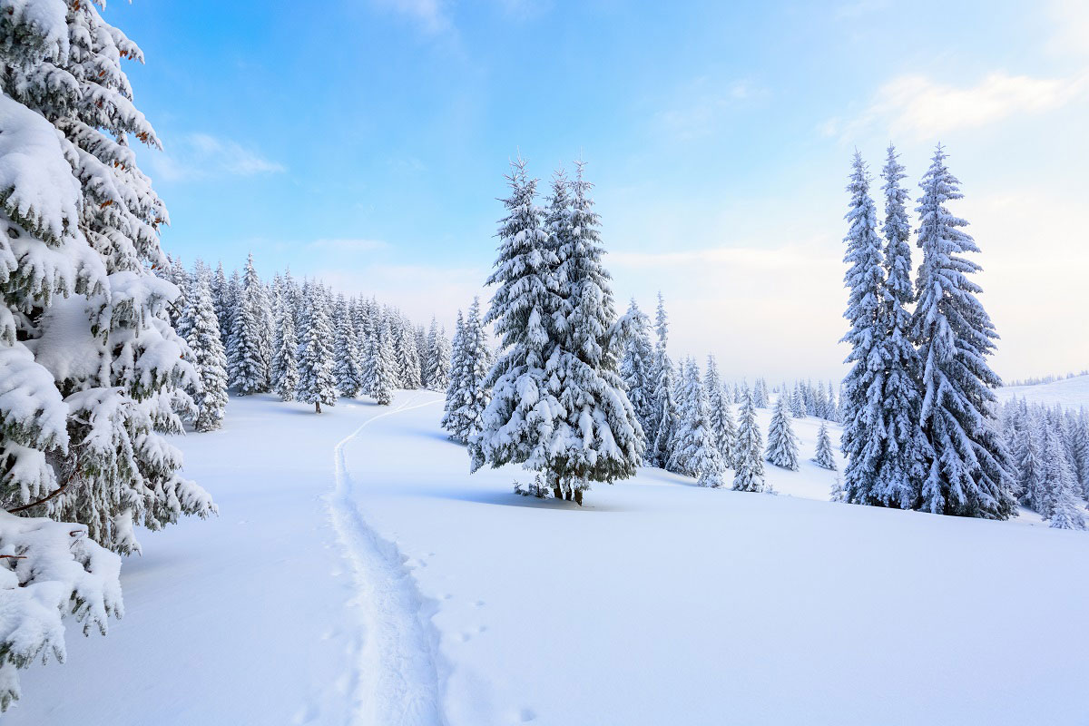 Berghotel Biberberg am Arlberg