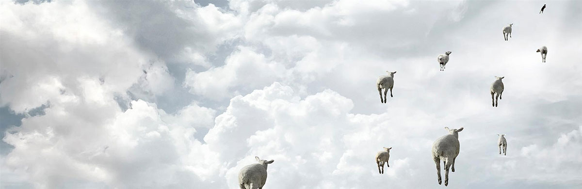 HotelNetSolutions: AMARI Suites